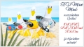 ITH Möwe MÖMÖ in verschiedenen Größen